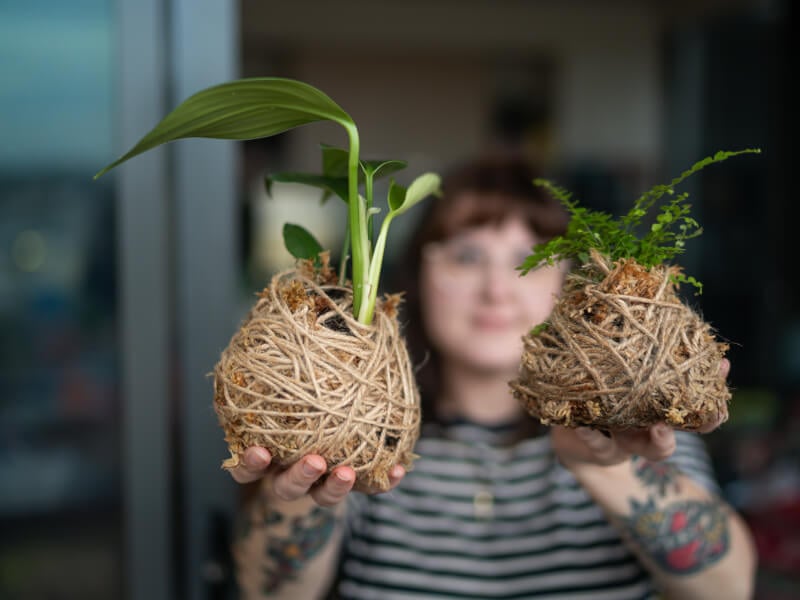 Woman holding two kokedama balls up to camera